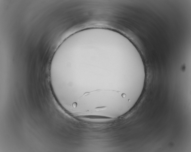 X0000116141382201001041023