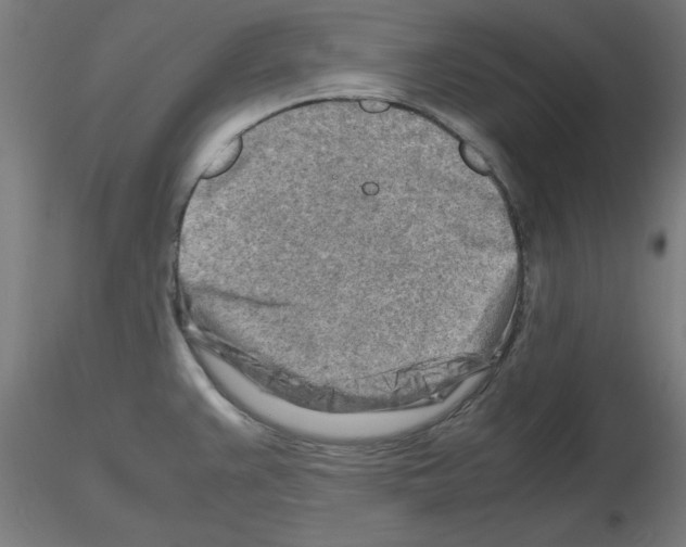 X0000116141383201001041023