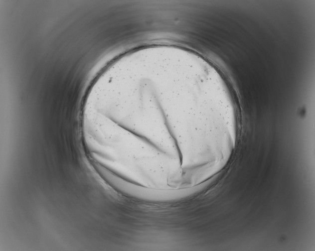 X0000116141384201001041023