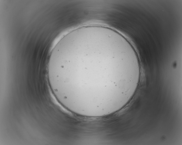 X0000116141390201001041023