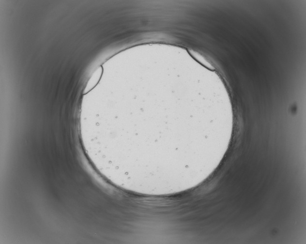 X0000116141391201001041023