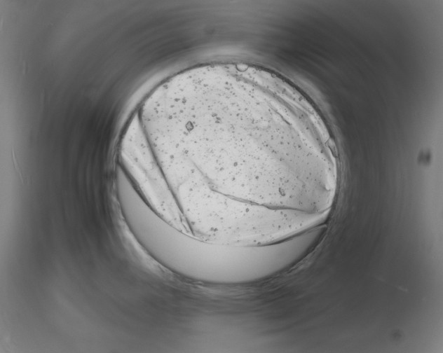 X0000116141392201001041023