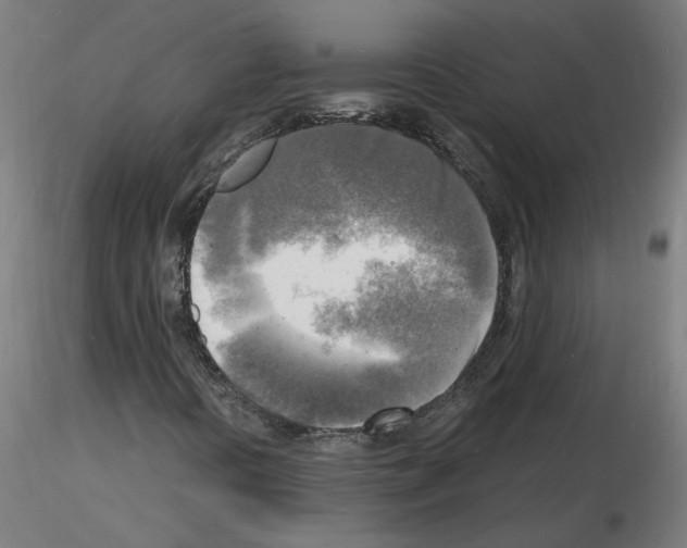 X0000116141394201001041022