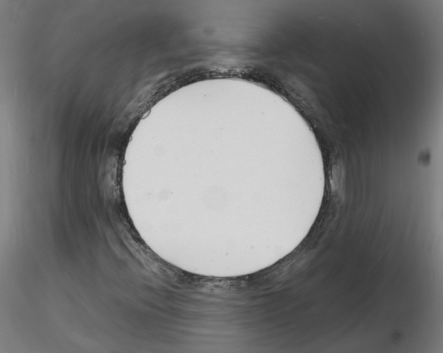 X0000116141396201001041022