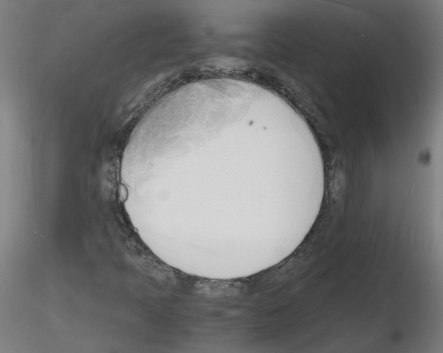 X0000116141397201001041022