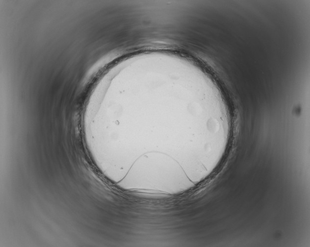 X0000116141402201001041023