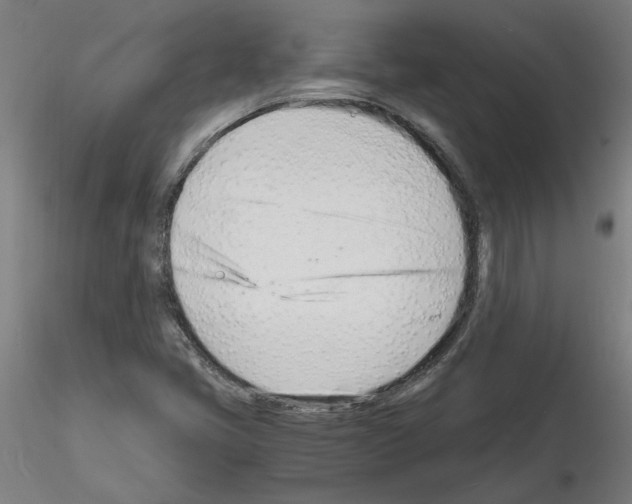 X0000116141405201001041023