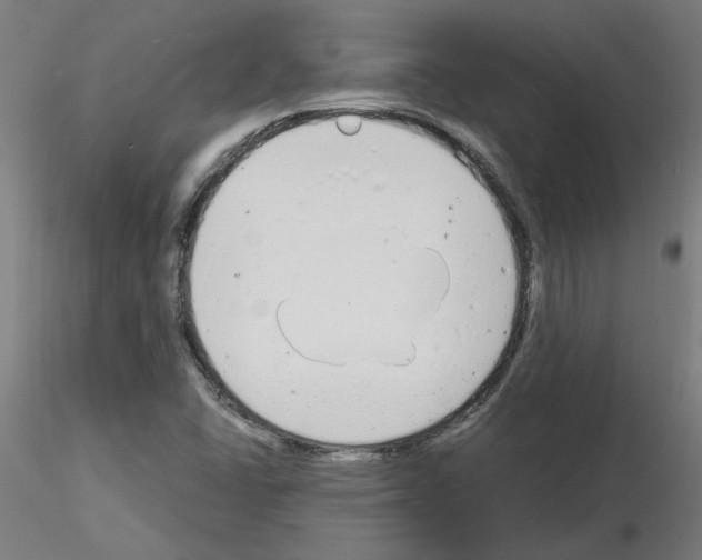 X0000116141406201001041023