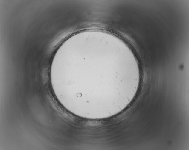 X0000116141407201001041023