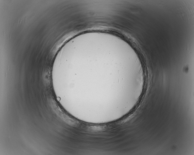 X0000116141409201001041023