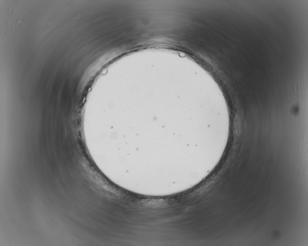 X0000116141410201001041023