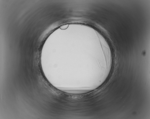 X0000116141411201001041023