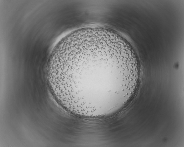 X0000116141412201001041023