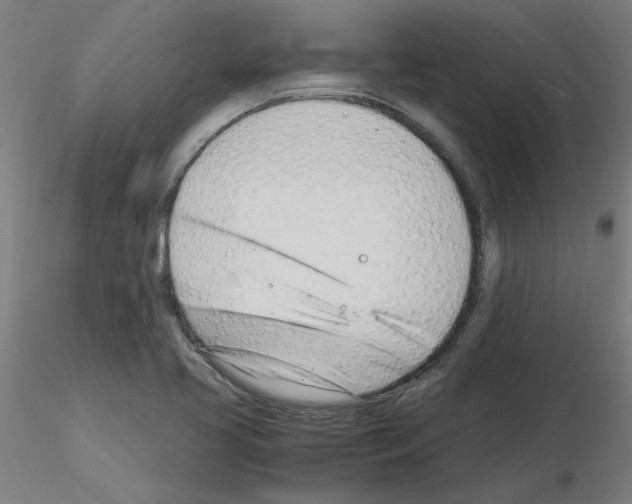 X0000116141413201001041023