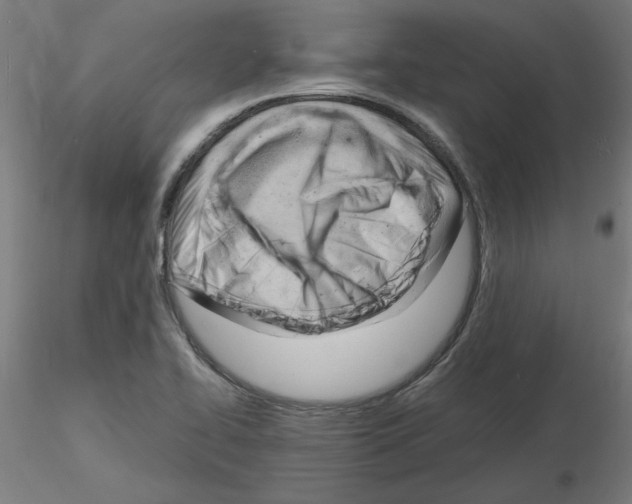 X0000116141414201001041023