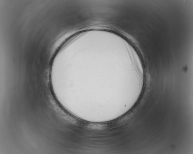 X0000116141415201001041023