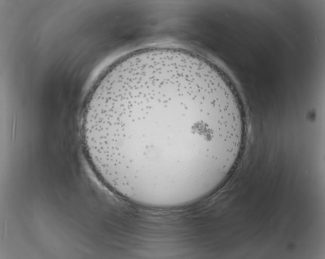 X0000116141416201001041023