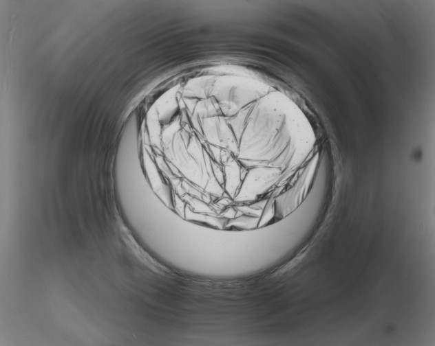 X0000116141417201001041023