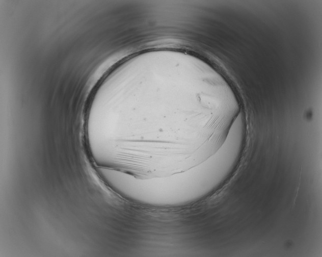 X0000116141418201001041023