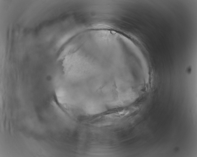 X0000116141422201001041023