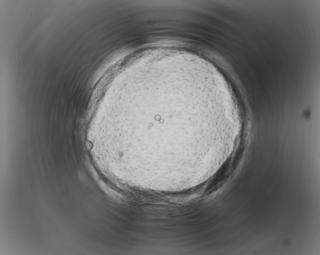 X0000116141425201001041023