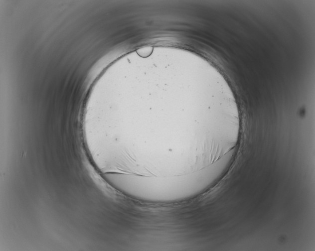 X0000116141426201001041023