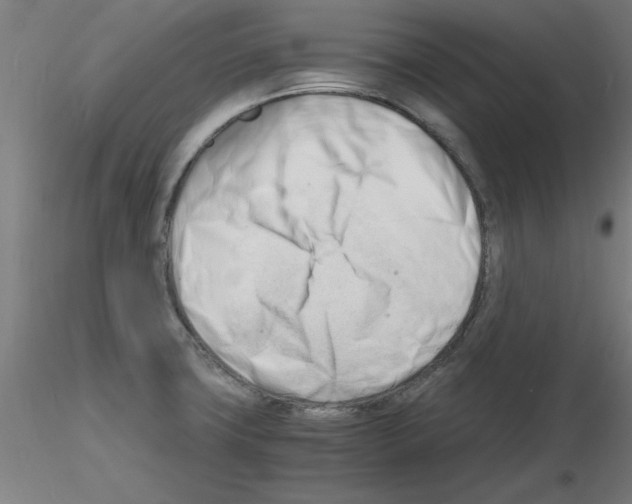 X0000116141427201001041023