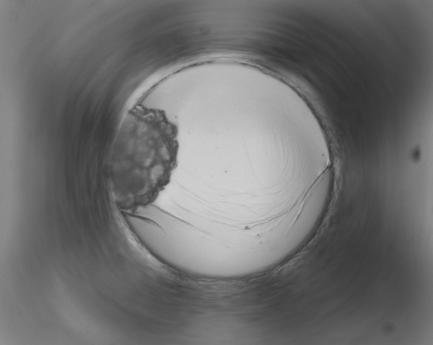 X0000116141428201001041023