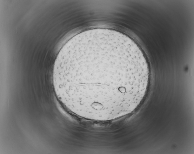 X0000116141433201001041023