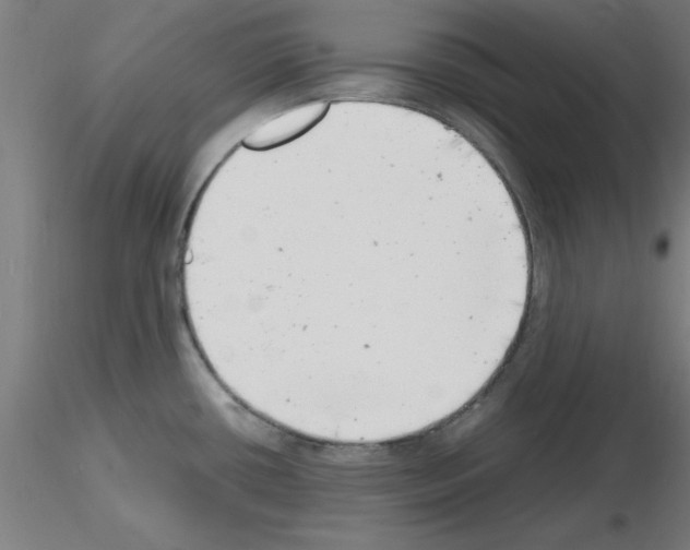 X0000116141434201001041023