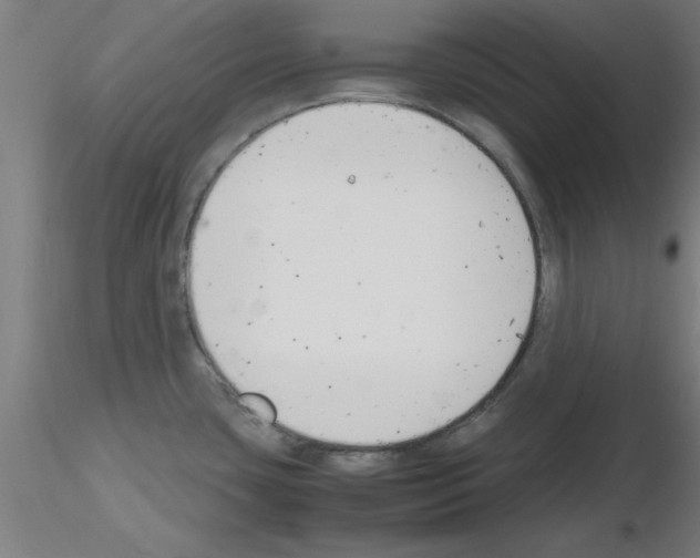 X0000116141435201001041023