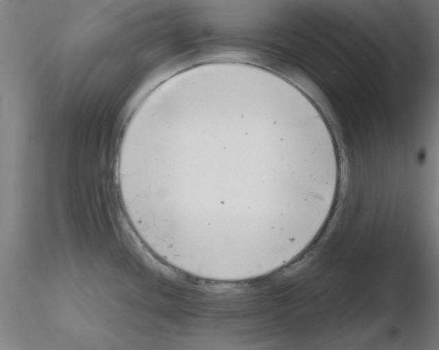 X0000116141436201001041023