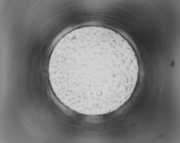 X0000116141437201001041023