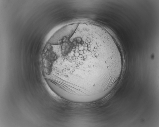 X0000116141438201001041023