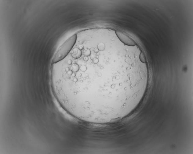 X0000116141439201001041023