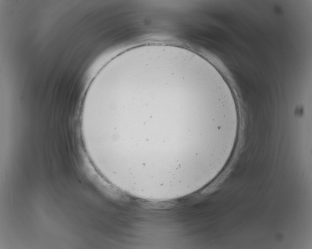 X0000116141440201001041023