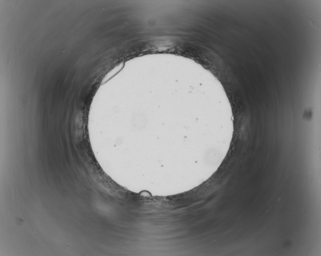 X0000116141442201001041022