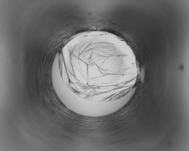 X0000116141444201001041022