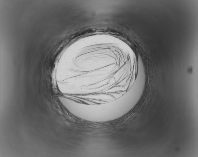 X0000116141445201001041022