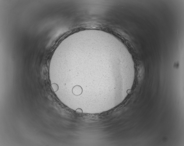 X0000116141446201001041022