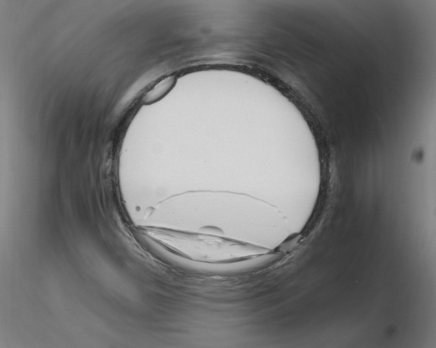 X0000116141450201001041022