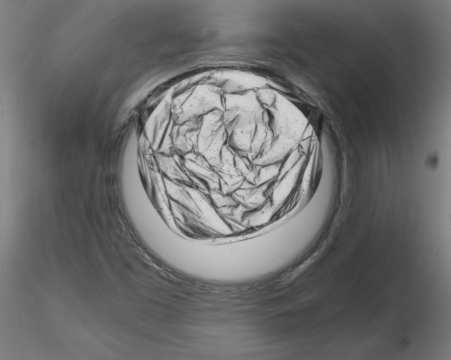 X0000116141453201001041022