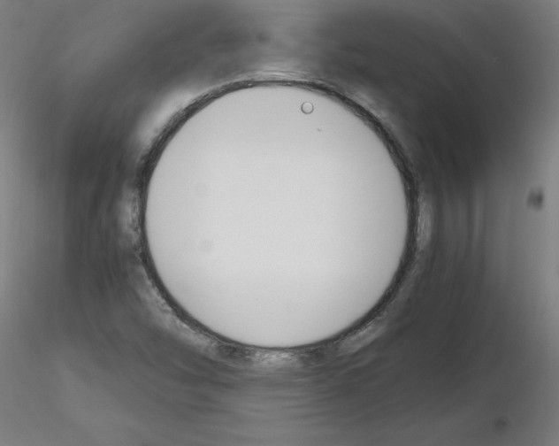 X0000116141454201001041022