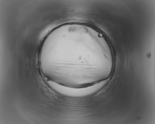 X0000116141455201001041022