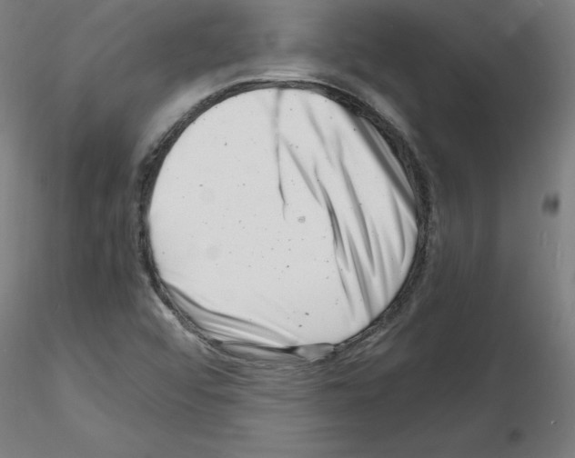 X0000116141456201001041022