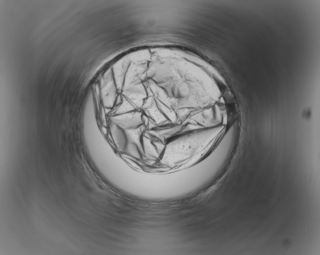 X0000116141457201001041022