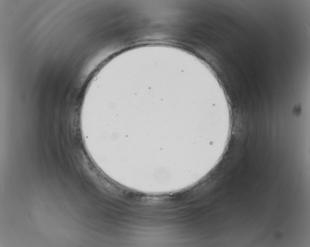 X0000116141458201001041022