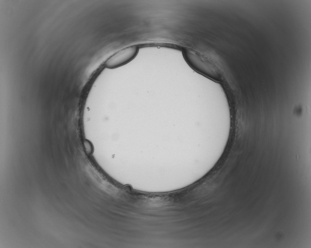 X0000116141460201001041022