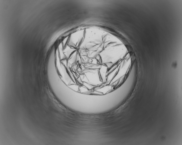 X0000116141461201001041022