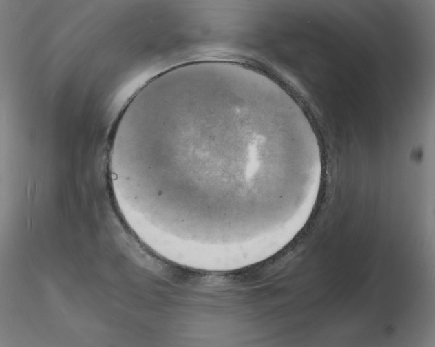 X0000116141463201001041022